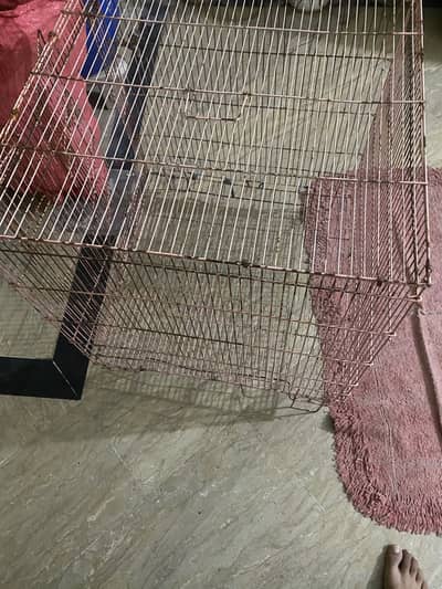 for hens and parrot cage available 2x2x2