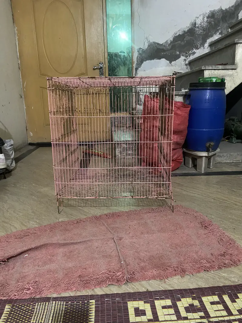 for hens and parrot cage available 2x2x2 — photo 2