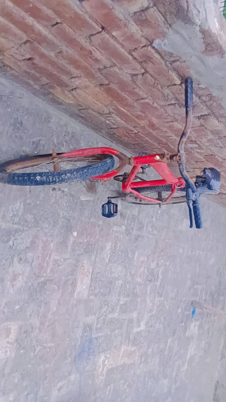 bycycle cycle 1