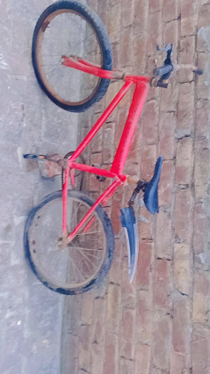 bycycle cycle 2