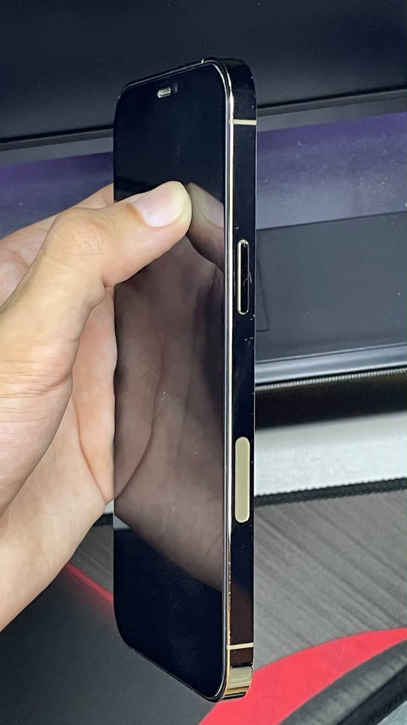 iPhone 12 Pro Max 2