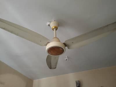 GFC Ceiling Fan – Mint Condition | Excellent Working