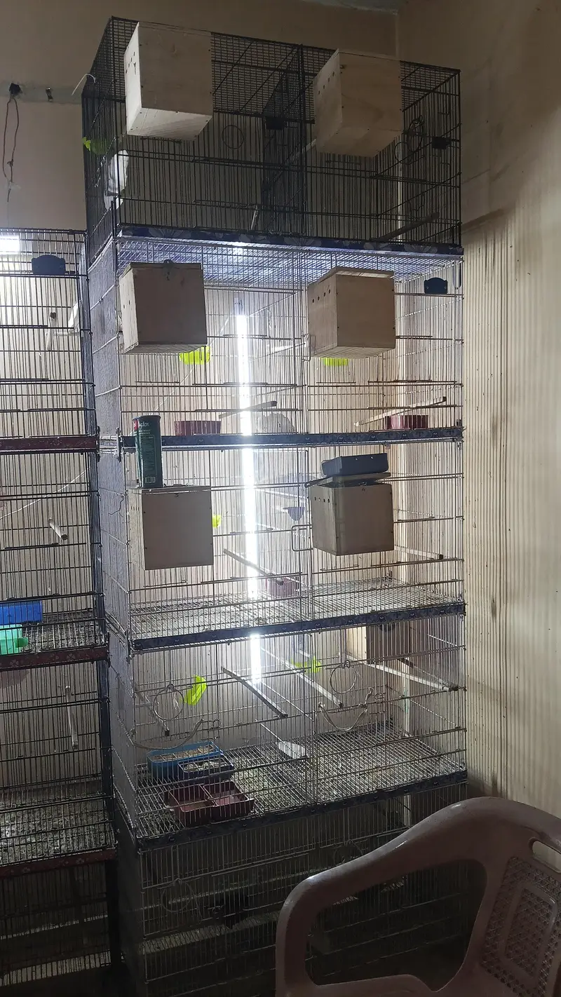 Metal Cages Folding — photo 2