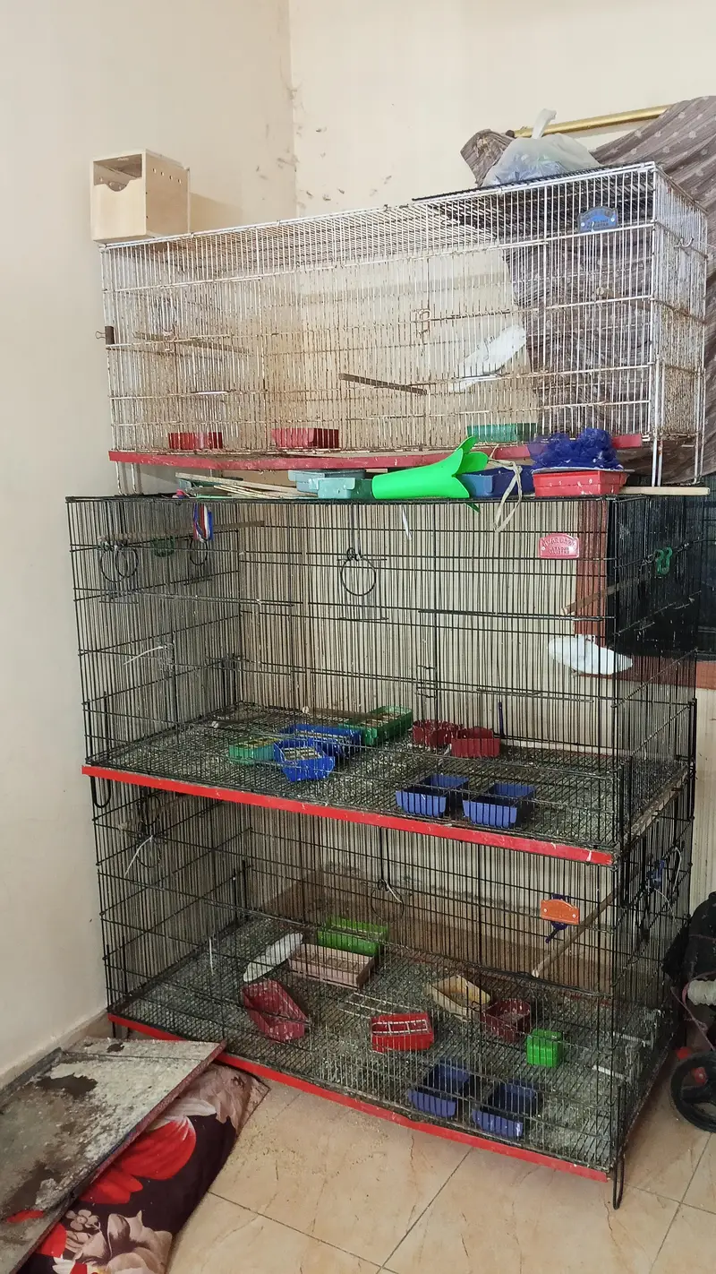 Metal Cages Folding — photo 3