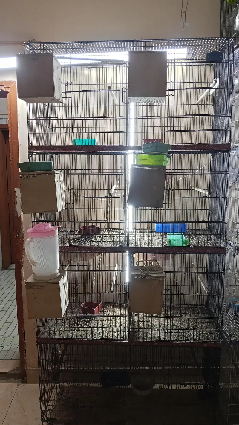 Metal Cages Folding — photo 4