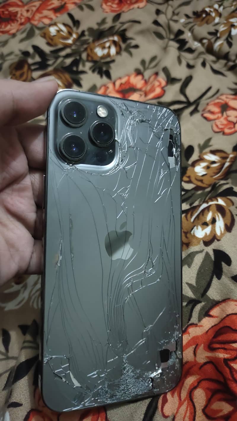 Apple iPhone 12 Pro Max 0