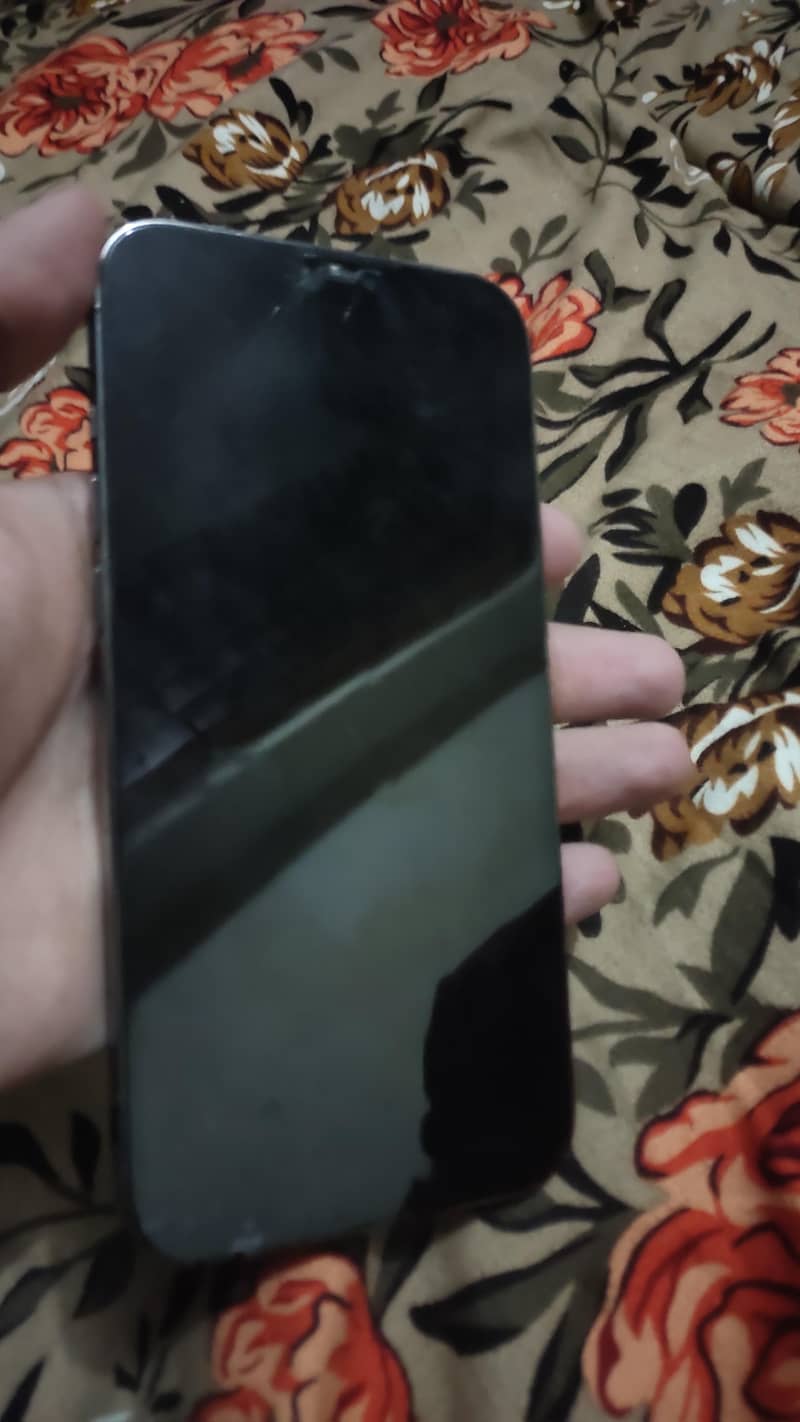 Apple iPhone 12 Pro Max 1
