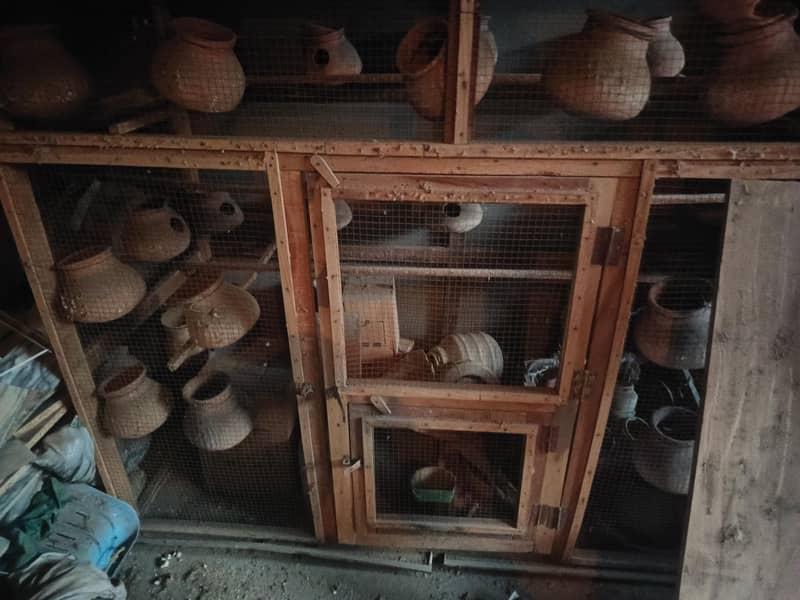 cages 2
