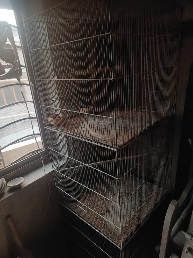 cages 7