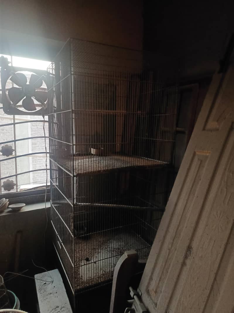 cages 8