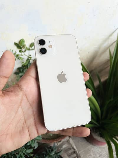 Apple iPhone 12