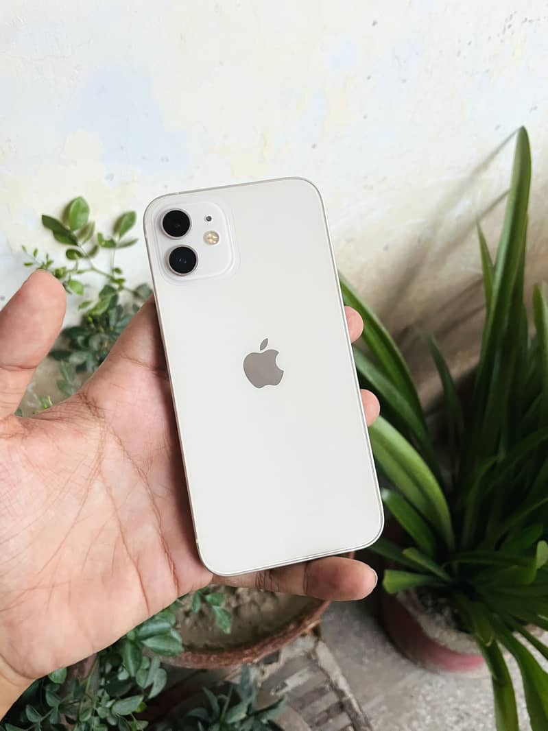Apple iPhone 12 2