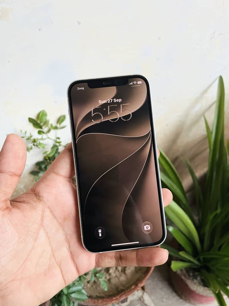 Apple iPhone 12 8