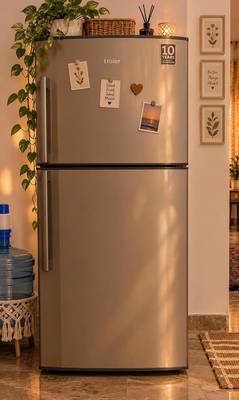 fridge 0