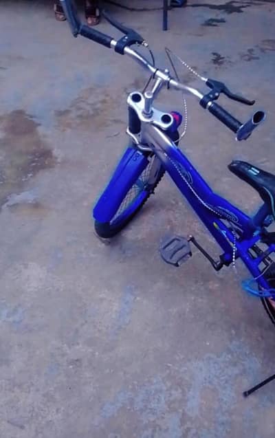 morgan cycle