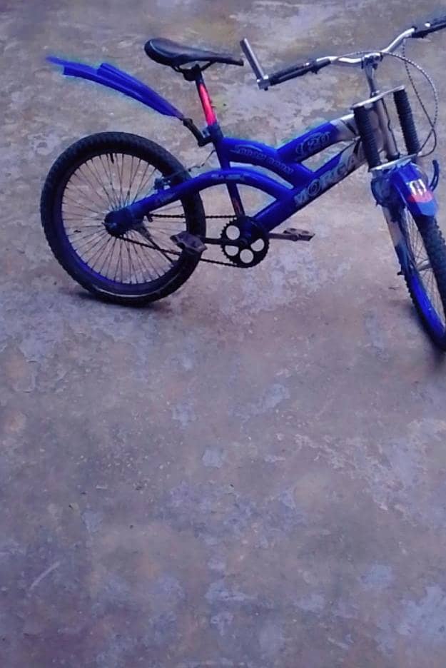 morgan cycle 2