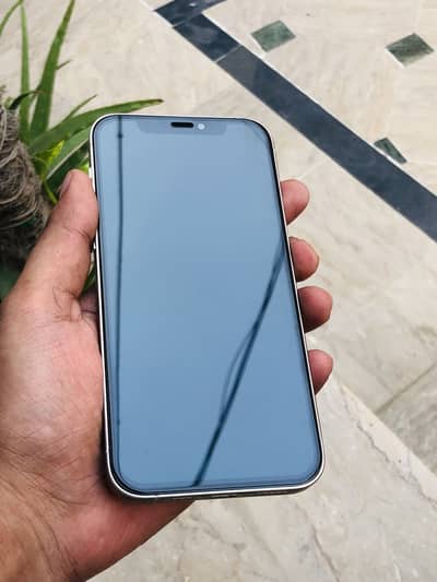 Apple iPhone 12 Pro