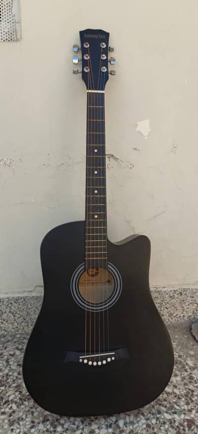 0330.4760208 . . Guitar For sale. Brand new