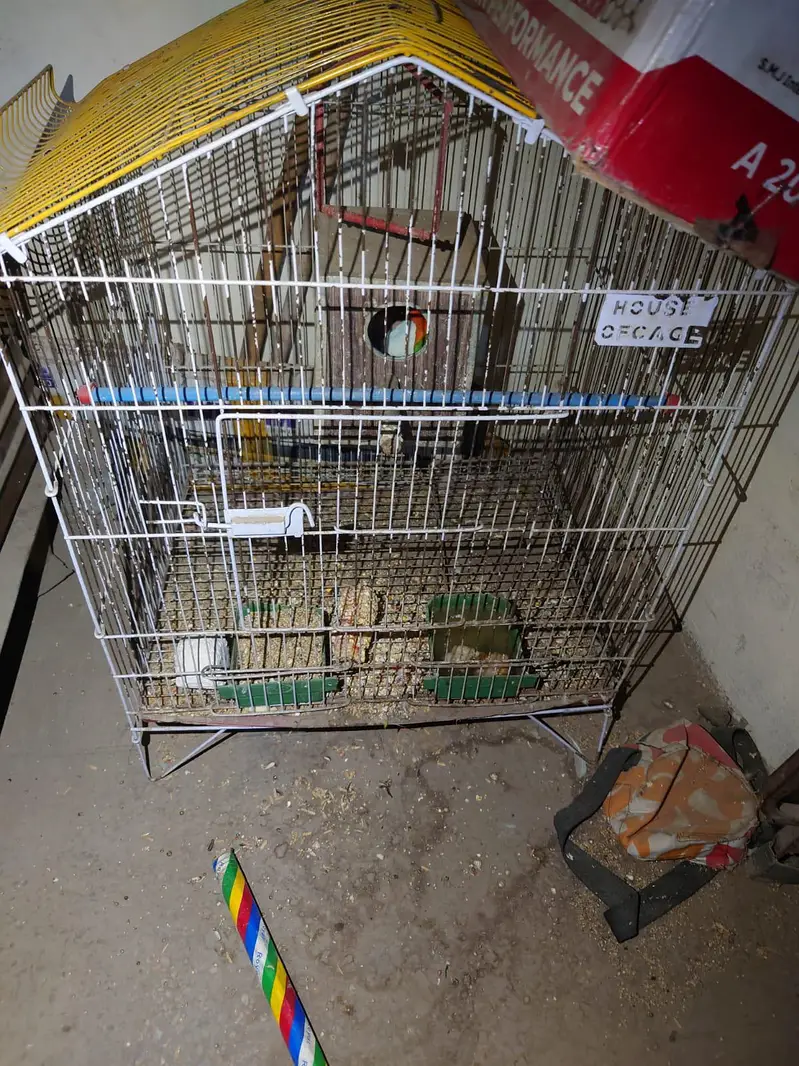 cage for sale — photo 3