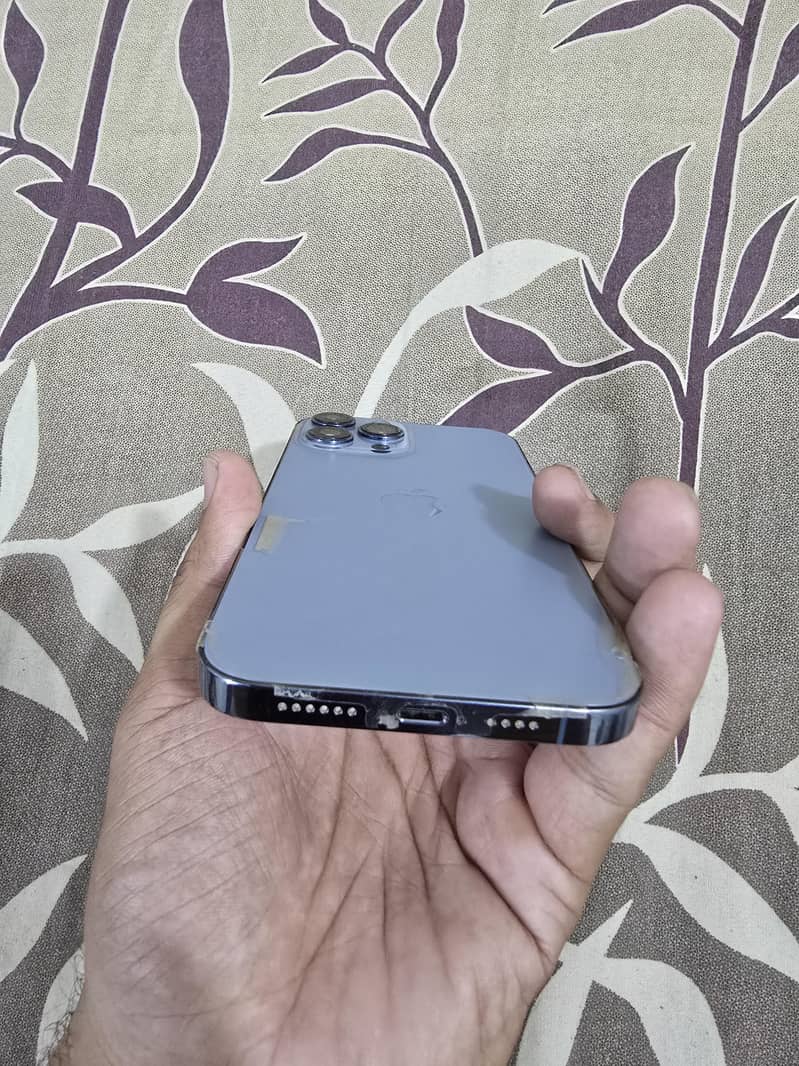 Apple iPhone 13 Pro Max 3