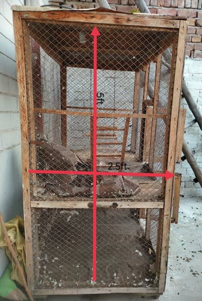 "Large Bird Cage – Sturdy and Clean".