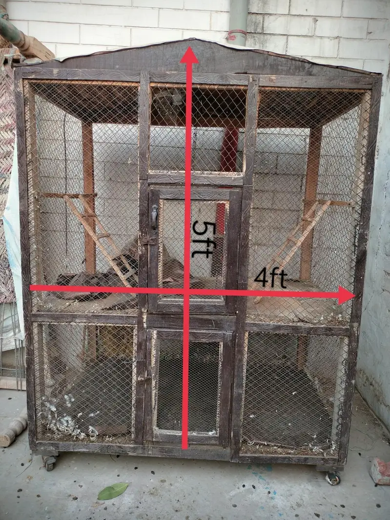 "Large Bird Cage – Sturdy and Clean". — photo 2