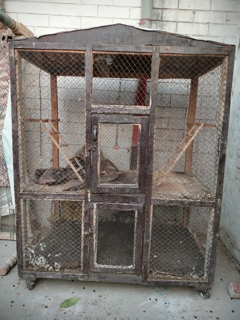 "Large Bird Cage – Sturdy and Clean". — photo 5