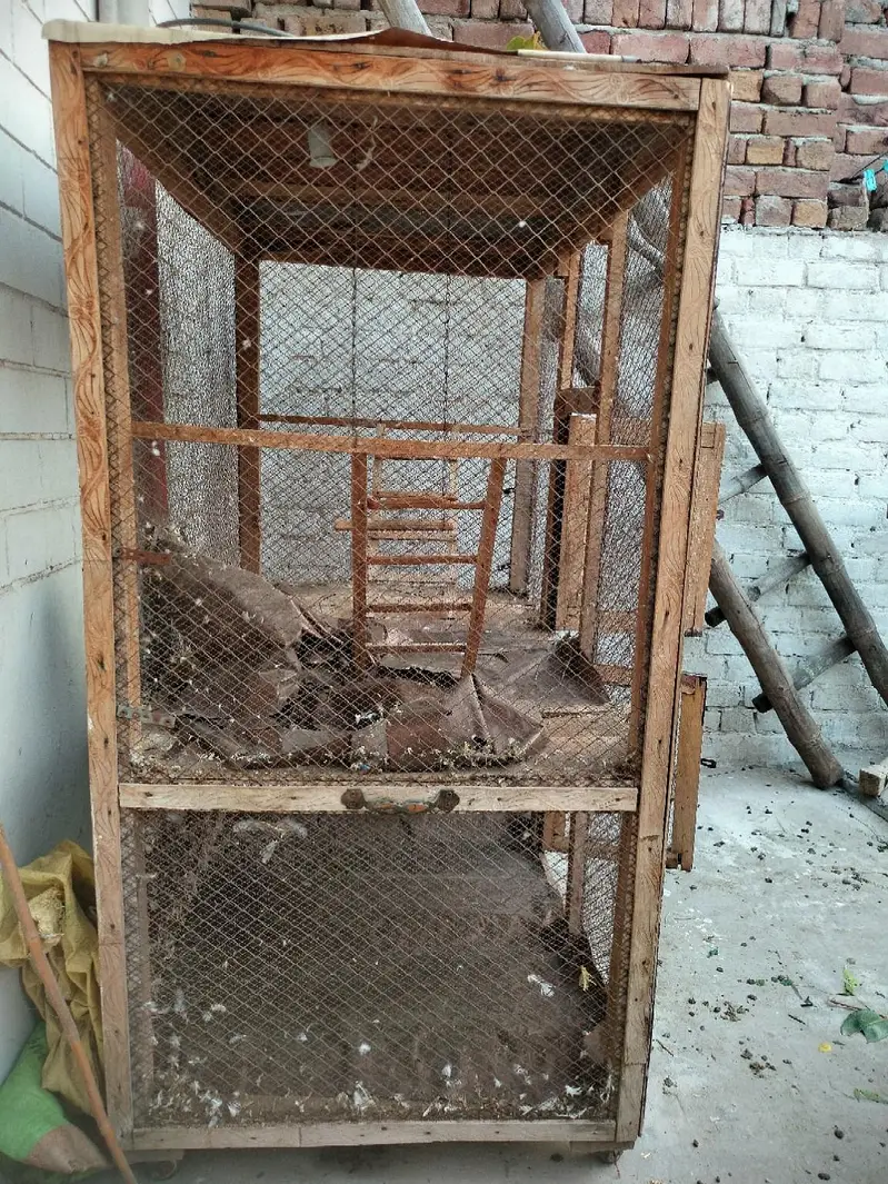 "Large Bird Cage – Sturdy and Clean". — photo 6