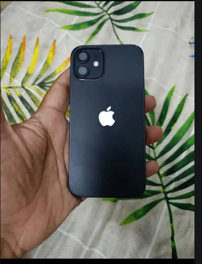 Apple iPhone 12