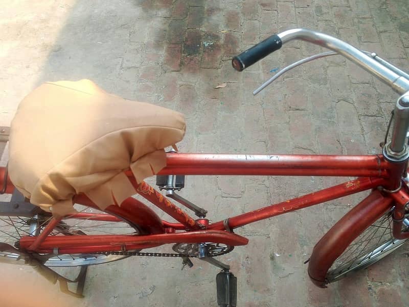 sohrab cycle 5