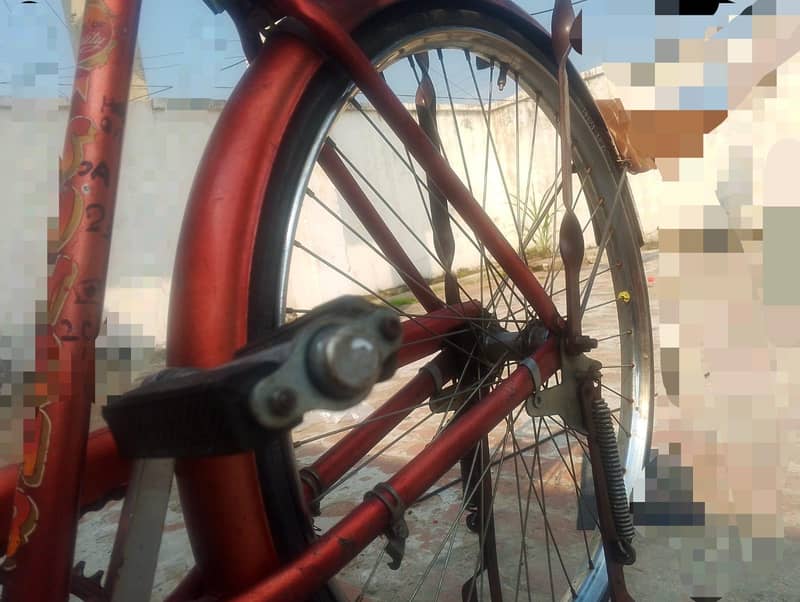 sohrab cycle 6