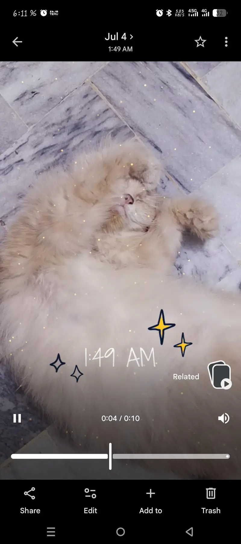 Persian golden brownish cat — photo 2