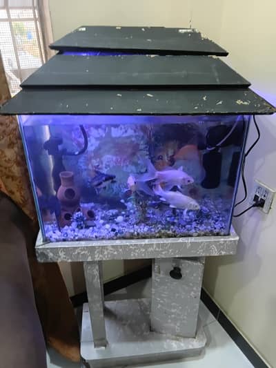 fish aquarium with filter ac and dc and fishes