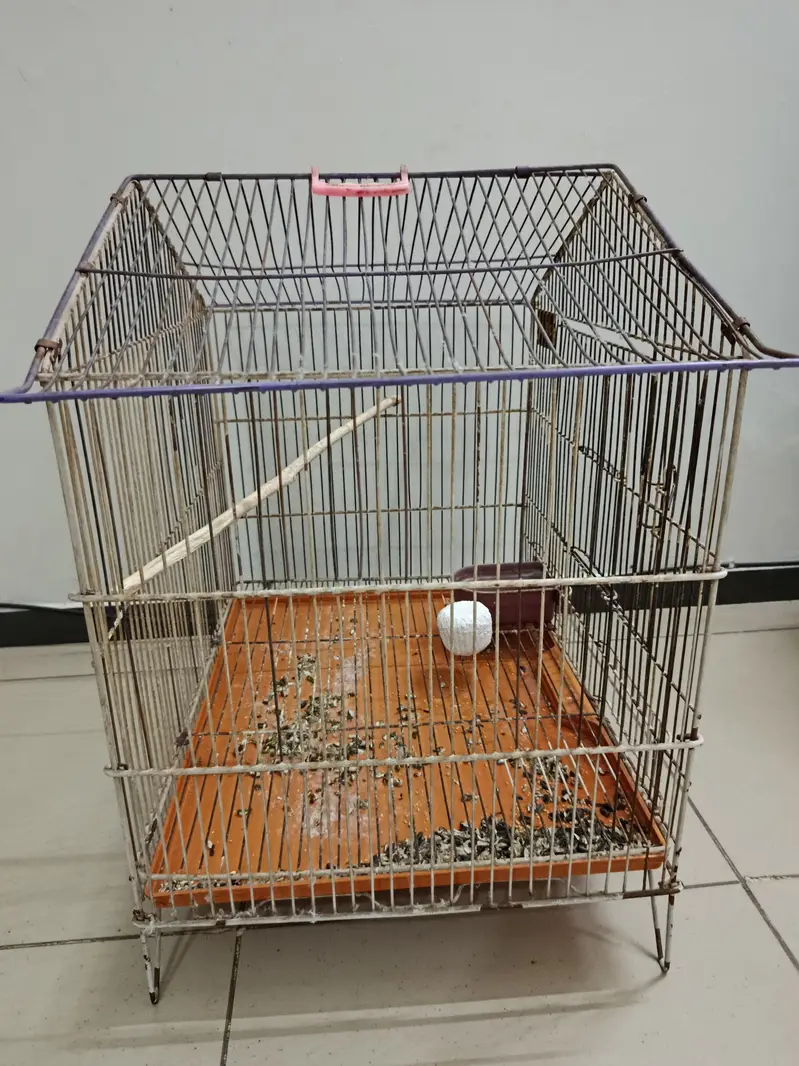 Standard Parrot Cage — photo 2