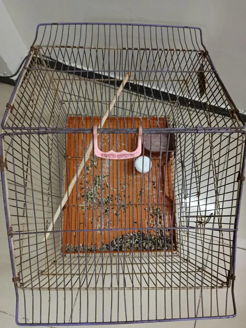 Standard Parrot Cage — photo 3