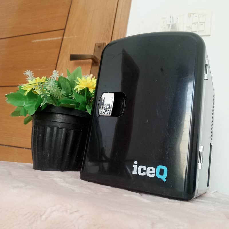Mini Fridge 1