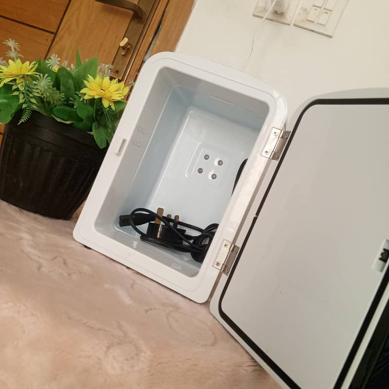 Mini Fridge 4