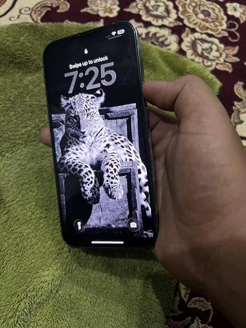 Apple iPhone 13 Pro Max 1