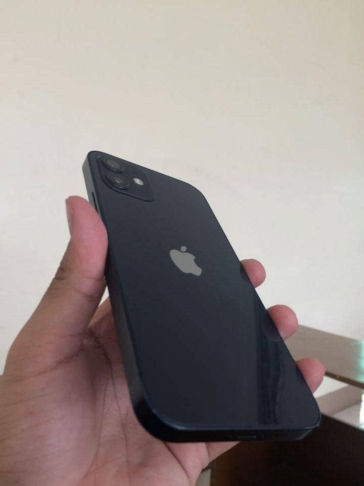 Apple iPhone 12 1