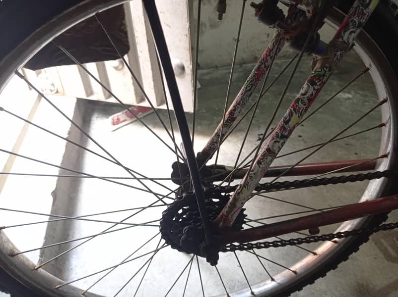 cycle Size 26' 3