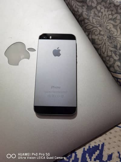 Apple iPhone 5s Lush
