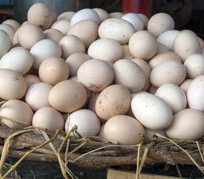 Desi Eggs