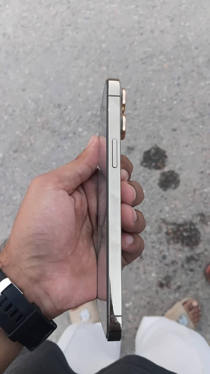 Apple iPhone 13 Pro Max 1
