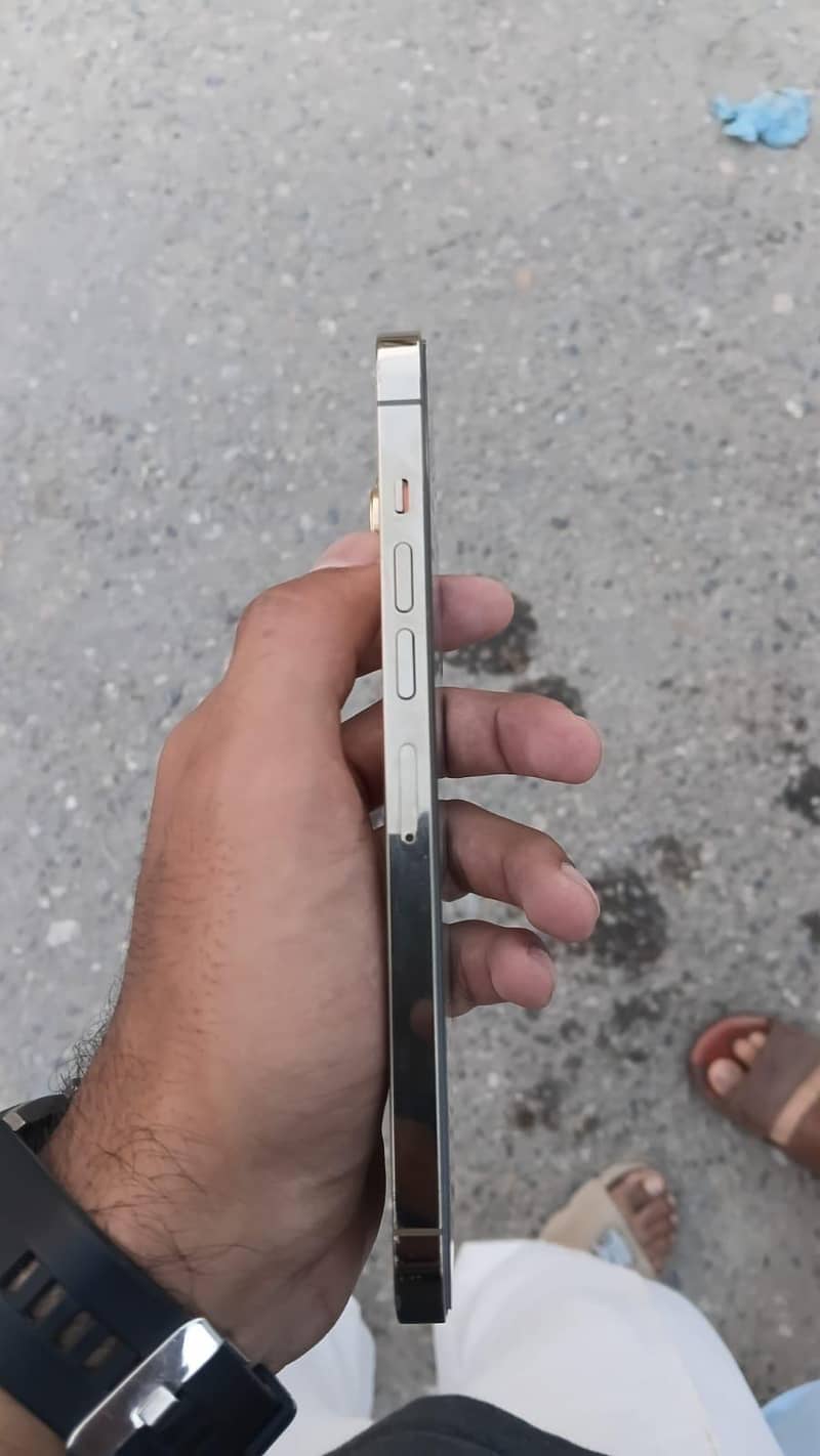 Apple iPhone 13 Pro Max 2