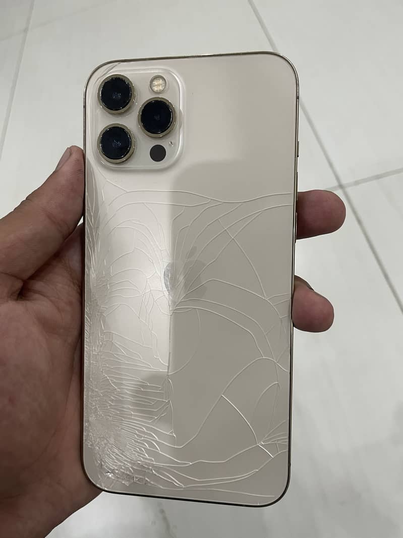 Apple iPhone 12 Pro Max 2