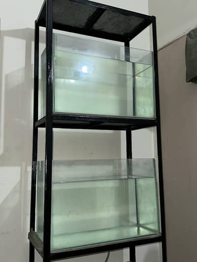 complete fish rack with 3 2ft Aquarium