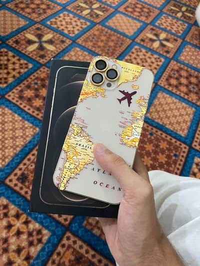 Apple iPhone 12 Pro Max
