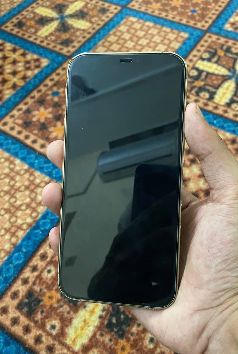 Apple iPhone 12 Pro Max 2
