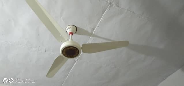 ST PAK ceiling fan