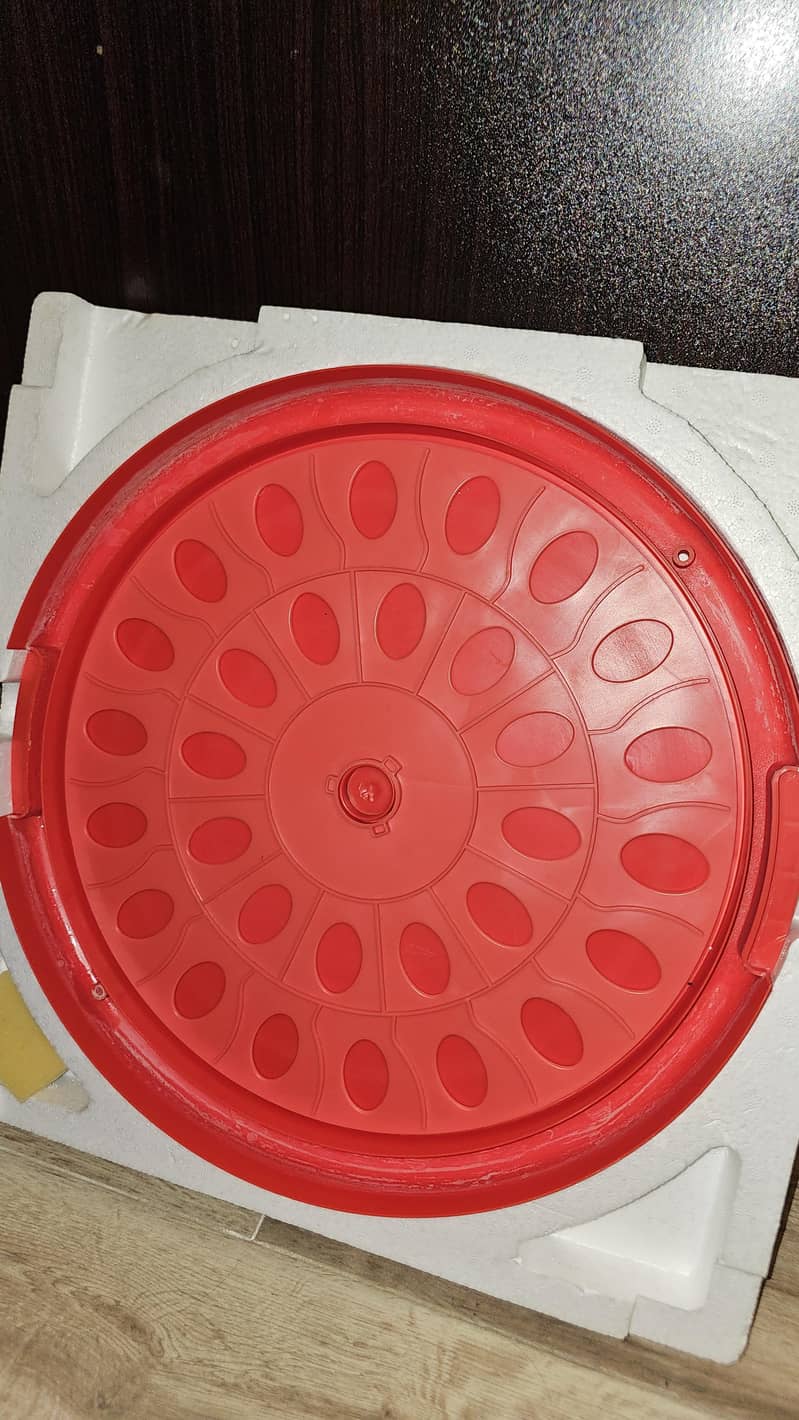 Incubator Automatic 30 Eggs 1